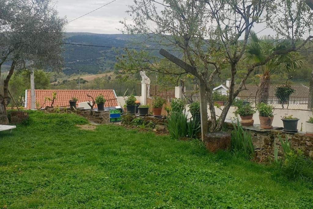 Villa Ancienne grange Tras Os Montes à Alfaiao Extérieur photo